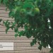 Сайдинг Ю-Пласт TIMBERBLOCK Пихта (Тимберблок) Cахалинская купить в Кингисеппе
